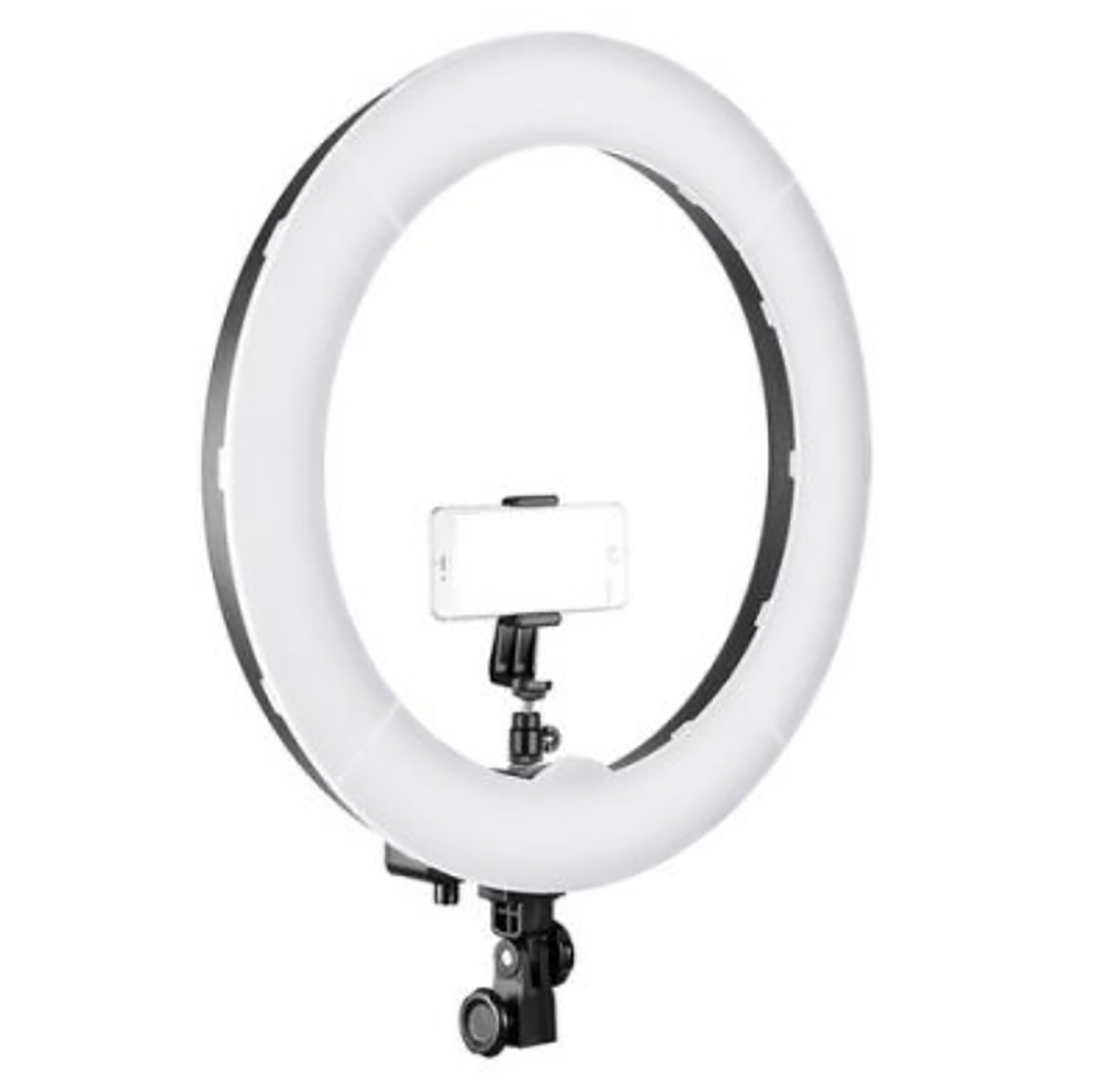 Ring Light (LED)